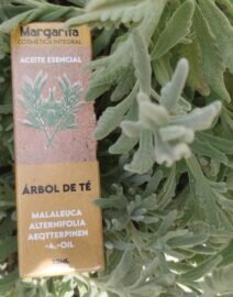 árbol de Té