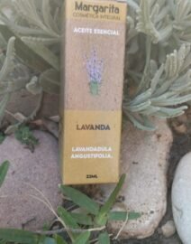 LAVANDA1