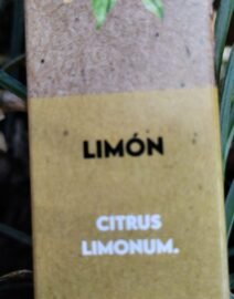 limon 1
